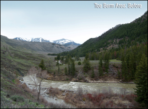 Figure 4: Toe Berm Area - Before