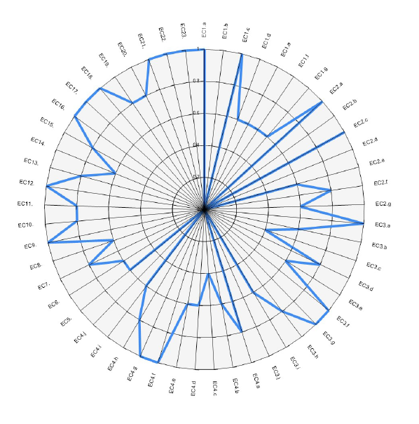 spider diagram example of URISA GIS CMM results